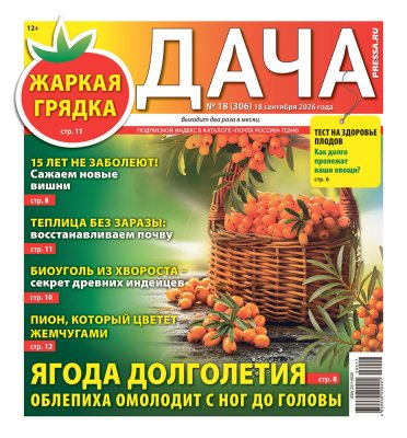 Газета ДАЧА